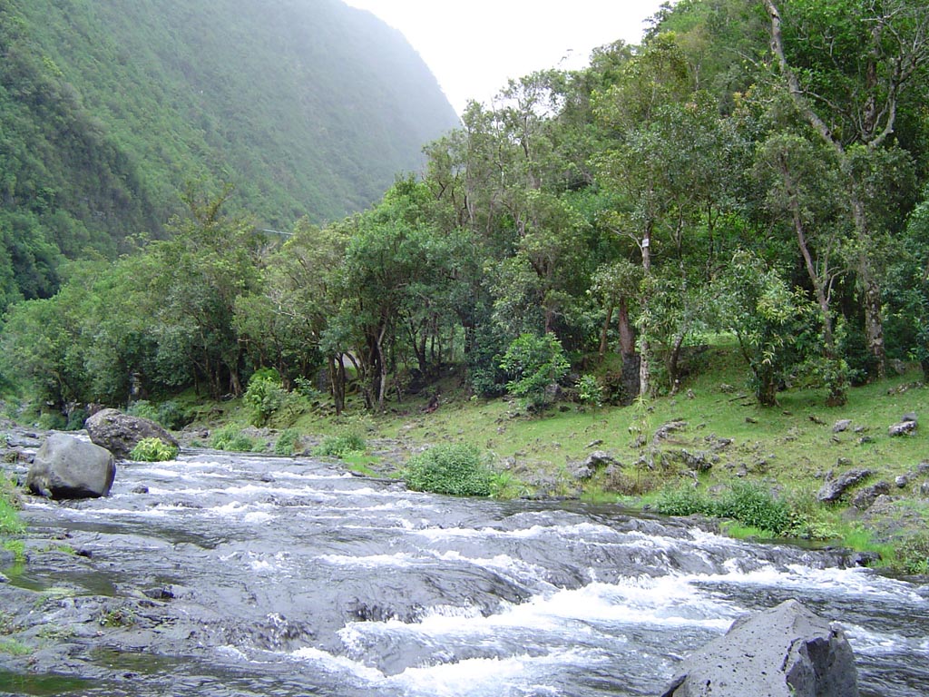 Fonds d'cran Nature Fleuves - Rivires - Torrents rivire de Langevin