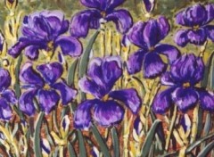 Fonds d'cran Art - Peinture mes  IRIS