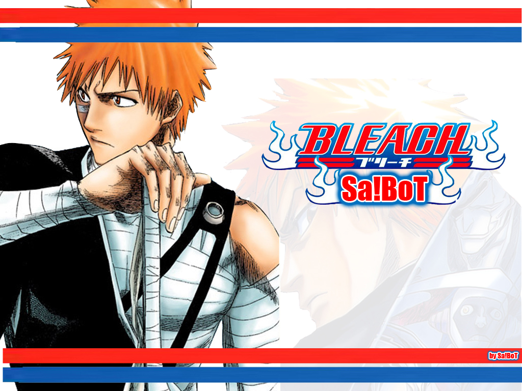 Fonds d'cran Manga Bleach bleachsaibot