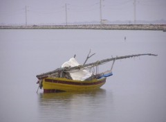 Wallpapers Boats Felouque  Djerba