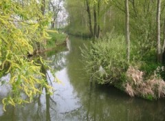 Fonds d'cran Nature Deux petits ruisseaux