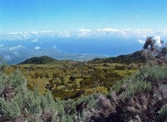 Fonds d'cran Voyages : Afrique Ile de la Reunion