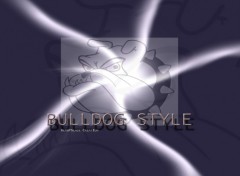 Wallpapers Digital Art bulldog screen