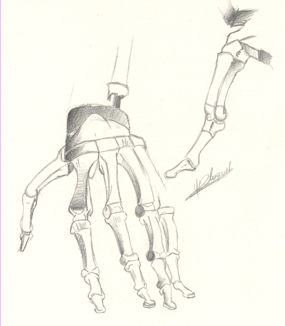 Wallpapers Art - Pencil Hands, feet, skeletons Etude 2