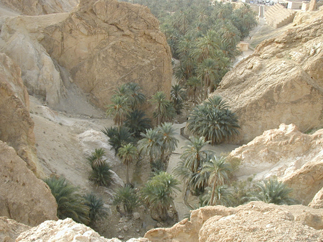 Fonds d'cran Voyages : Afrique Tunisie Gorges de Chbika