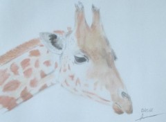 Wallpapers Art - Pencil Girafe