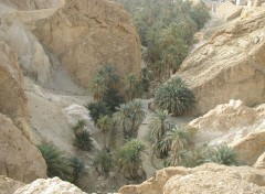 Fonds d'cran Voyages : Afrique Gorges de Chbika