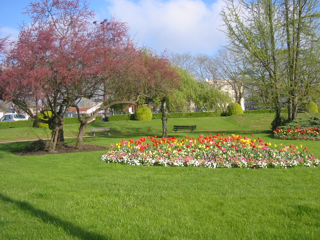 Fonds d'cran Nature Parcs - Jardins Parterre fleuri