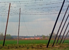 Fonds d'cran Voyages : Europe A  travers un champ de houblon