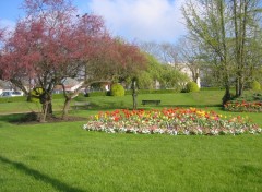 Fonds d'cran Nature Parterre fleuri