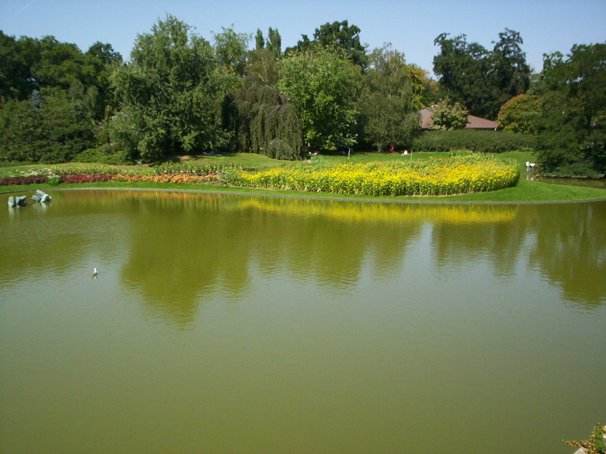 Wallpapers Nature Lakes - Ponds Photo prise au Parc Florale de Vincennes