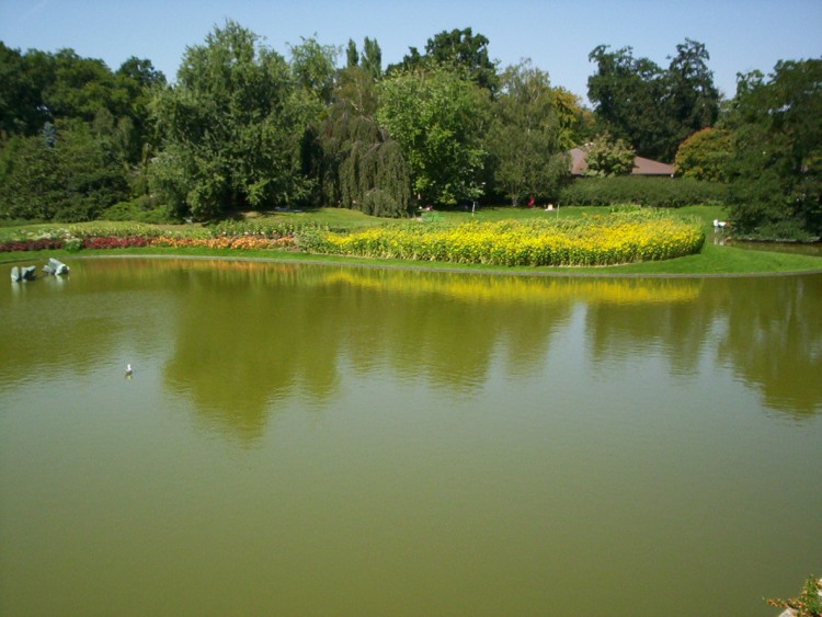 Wallpapers Nature Lakes - Ponds Photo prise au Parc Florale de Vincennes