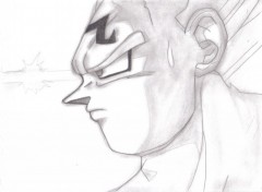 Fonds d'cran Art - Crayon bad vegeta