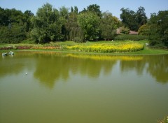 Wallpapers Nature Photo prise au Parc Florale de Vincennes