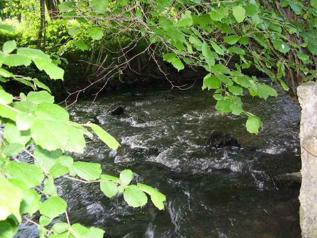 Wallpapers Nature Rivers - Torrents Ruisseau du calvados