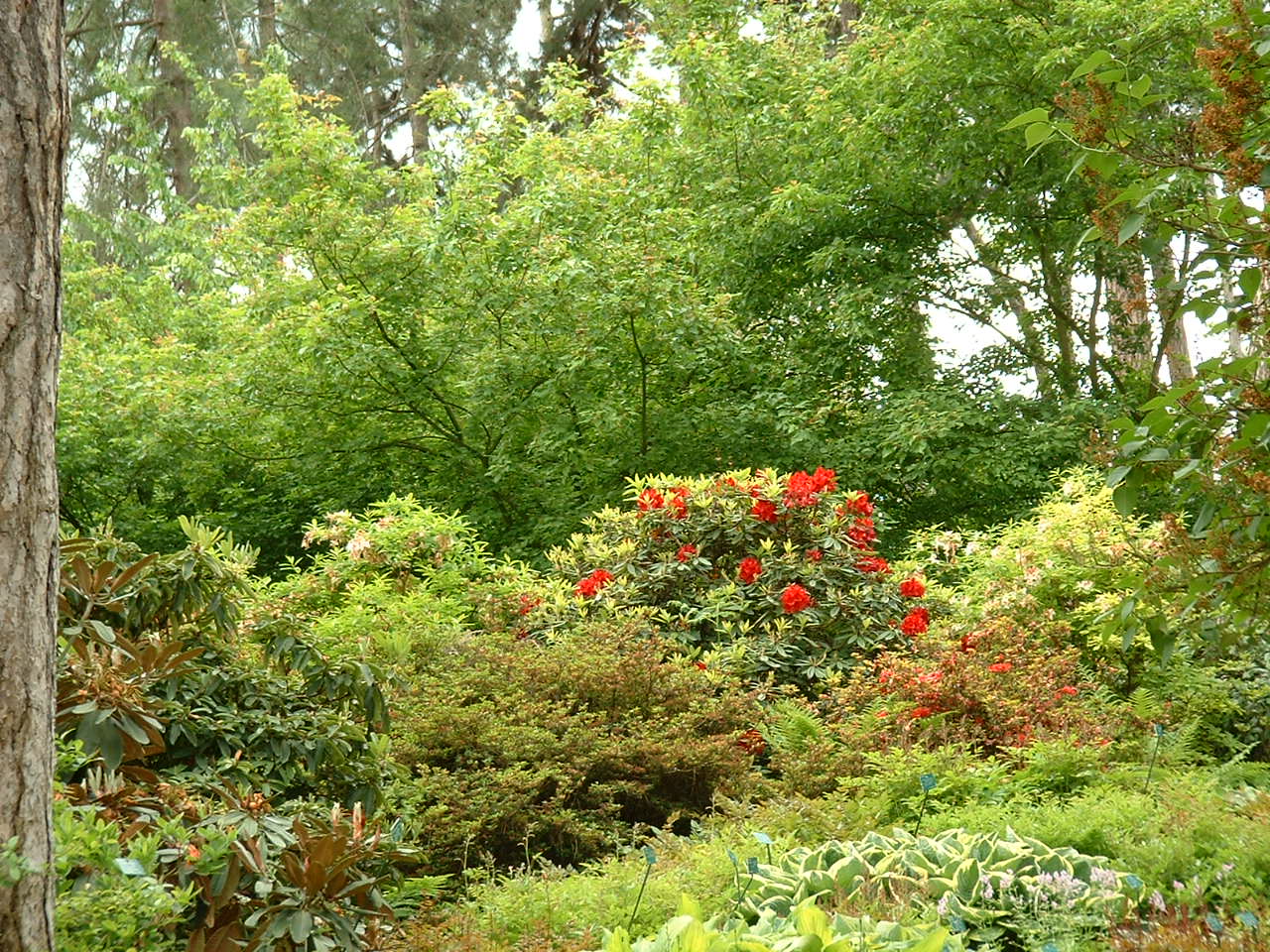 Wallpapers Nature Parks - Gardens Parc Floral de Paris