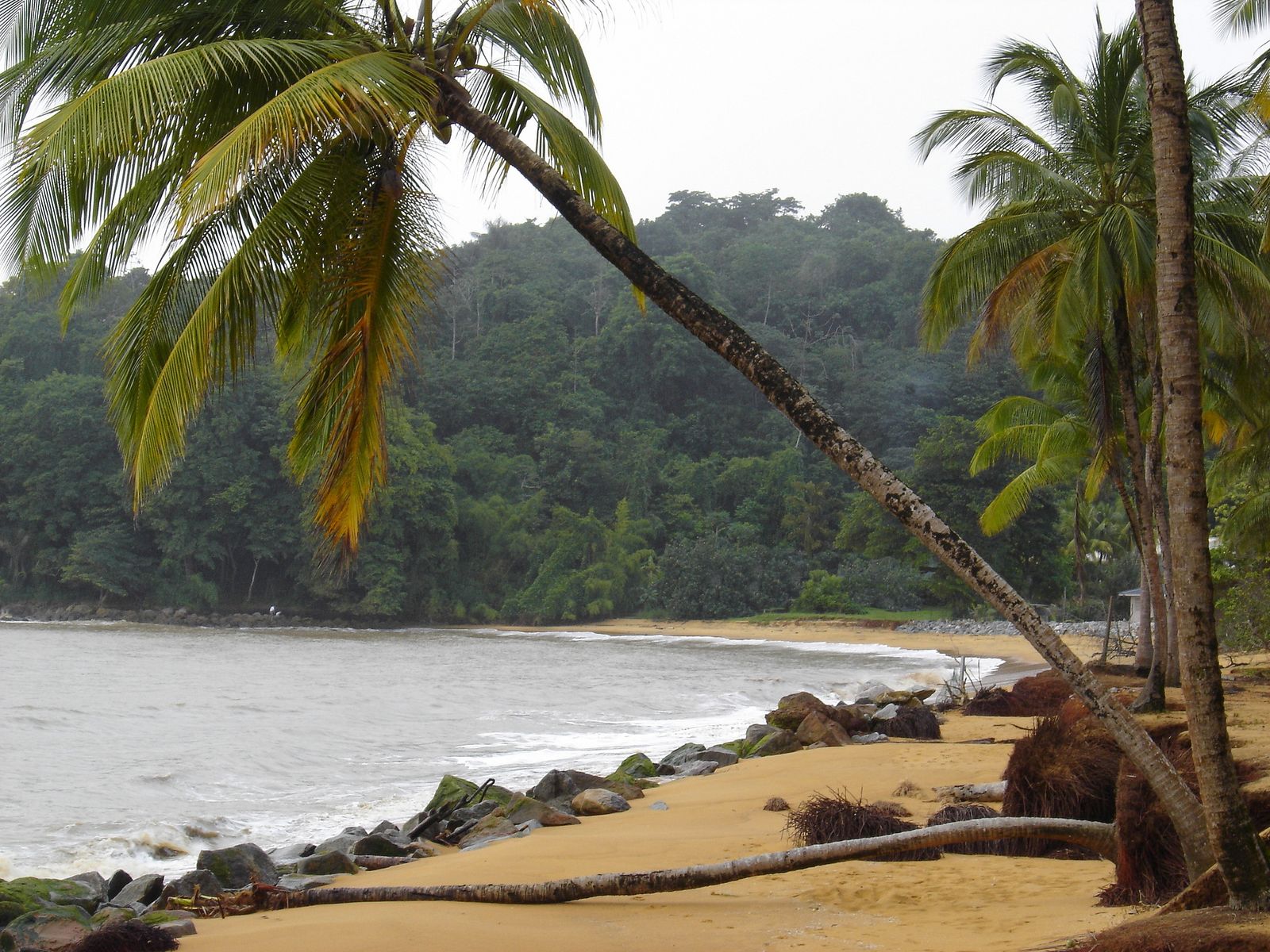 Fonds d'cran Nature Mers - Ocans - Plages Plage de Montjoly (guyane)