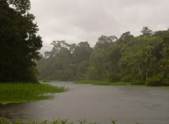 Fonds d'cran Nature Pluie tropicale sur le rio Yacatu - Amazonie (Prou)