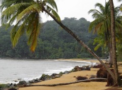 Wallpapers Nature Plage de Montjoly (guyane)