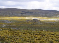 Fonds d'cran Voyages : Europe Serra da Freita - Portugal