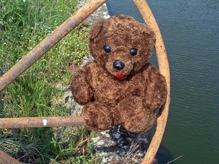 Wallpapers Objects Cuddly Petit Ours au bord de l'eau...