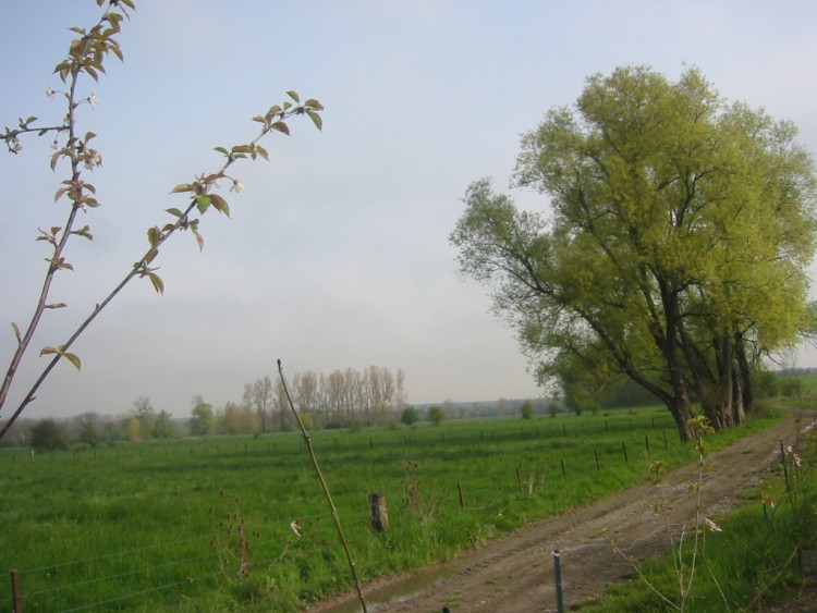 Fonds d'cran Voyages : Europe France > Picardie Petit chemin bucolique en terre picarde