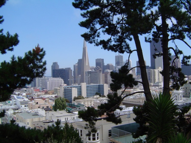 Fonds d'cran Voyages : Amrique du nord Etats-Unis San Francisco from Russian Hill