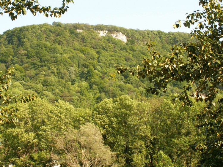 Wallpapers Nature Trees - Forests premier pli du Jura (dpt du Doubs)