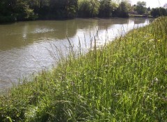 Fonds d'cran Nature Le canal des Ardennes  Attigny 08