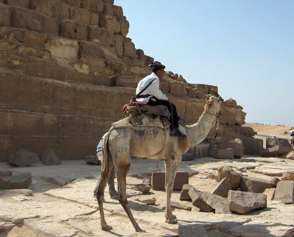 Fonds d'cran Voyages : Afrique Egypte La police monte aux pyramides ...