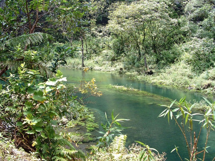 Fonds d'cran Nature Fleuves - Rivires - Torrents Ile de la Reunion