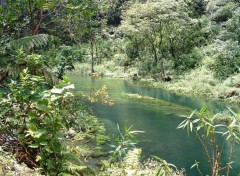 Fonds d'cran Nature Ile de la Reunion