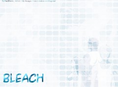 Wallpapers Manga Bleach-Group