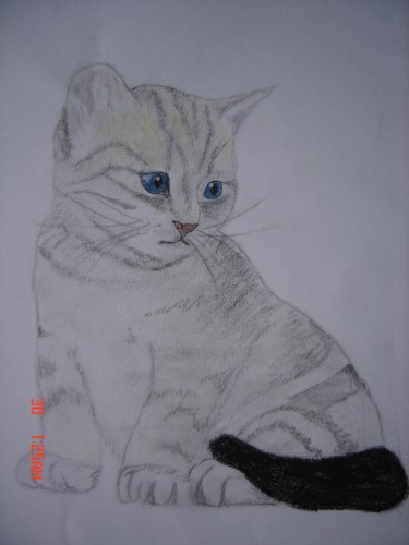 Fonds d'cran Art - Crayon Animaux - Chats Chaton