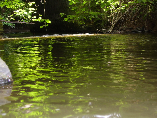 Fonds d'cran Nature Fleuves - Rivires - Torrents 