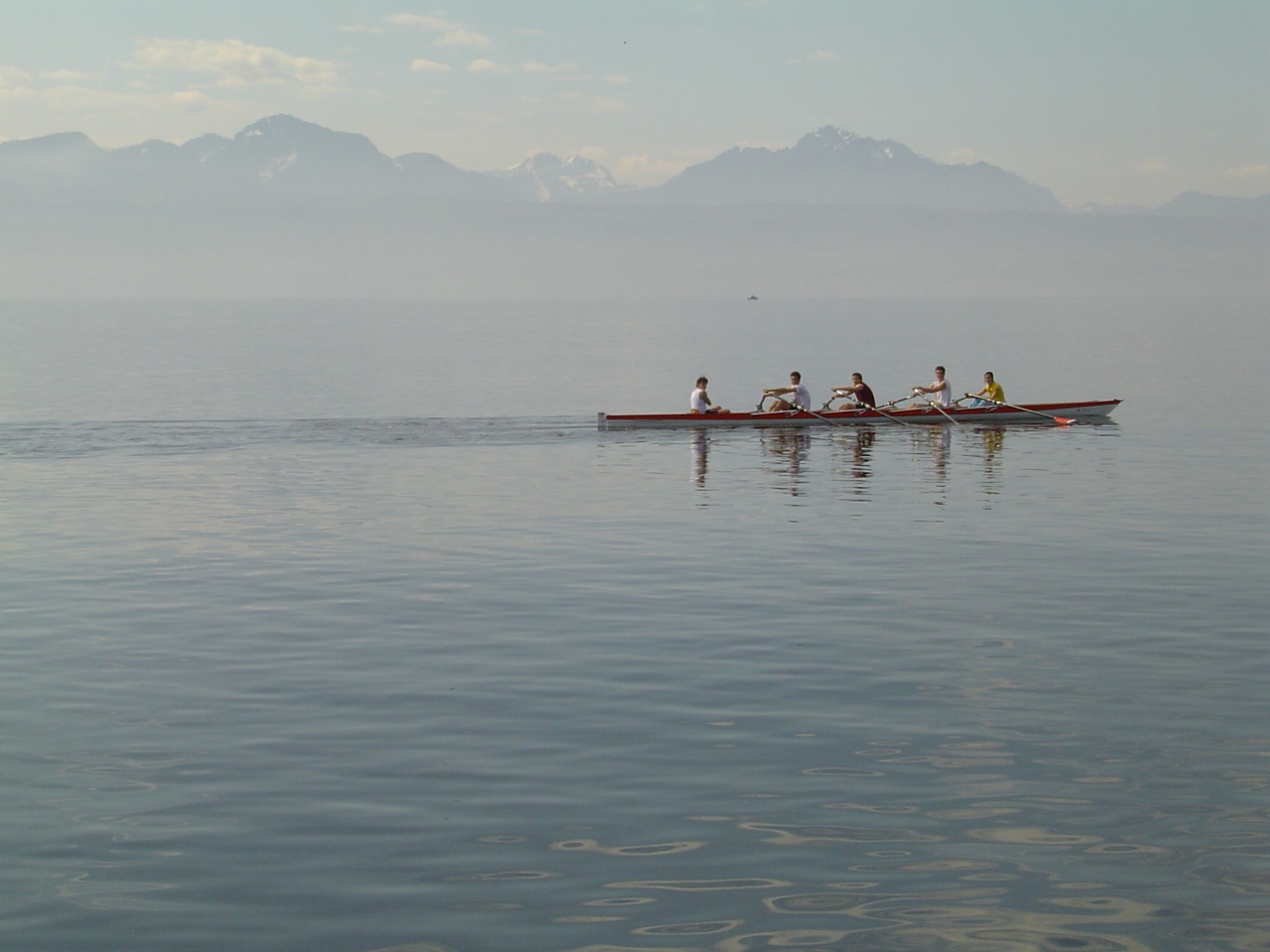 Fonds d'cran Sports - Loisirs Aviron Lausanne, au bord du Lac Lman