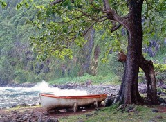 Fonds d'cran Voyages : Afrique Ile de la Reunion - Une barque ? (1/2)