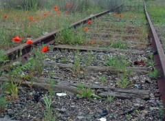 Wallpapers Nature France : grve SNCF le 02 juin - Pas de trains !