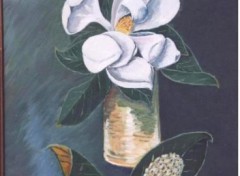 Wallpapers Art - Painting fleur de Magnolia