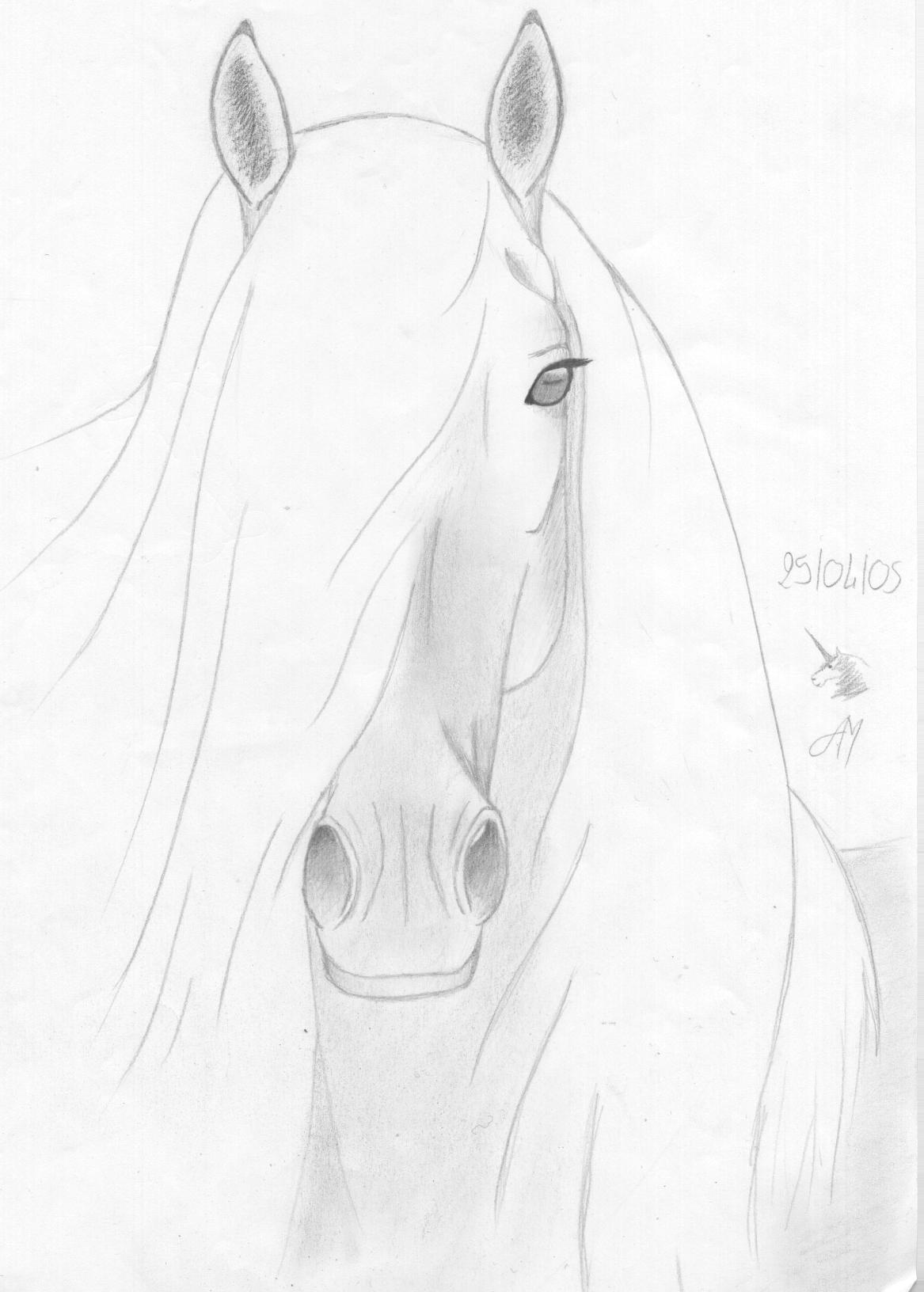 Wallpapers Art - Pencil Animals - Horses Pure race espagnol