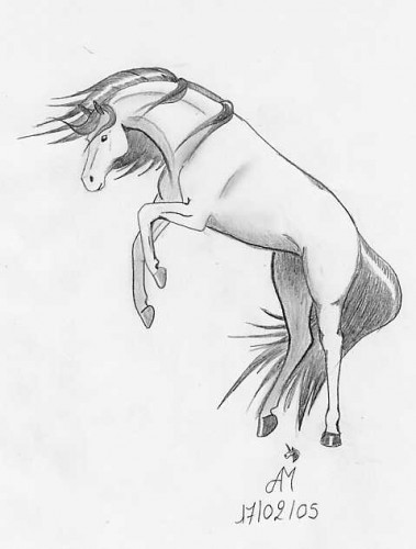 Wallpapers Art - Pencil Animals - Horses Cabr