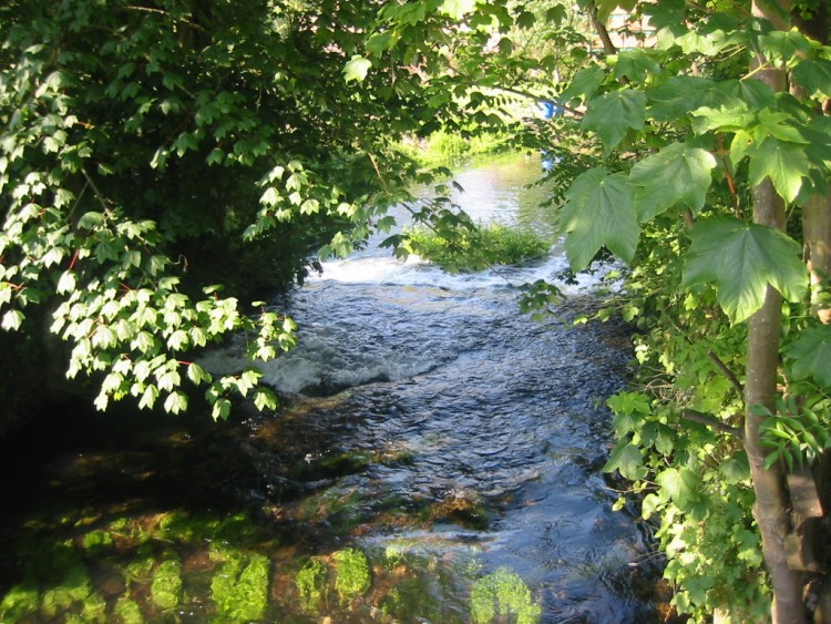 Fonds d'cran Nature Fleuves - Rivires - Torrents Somme qui court.