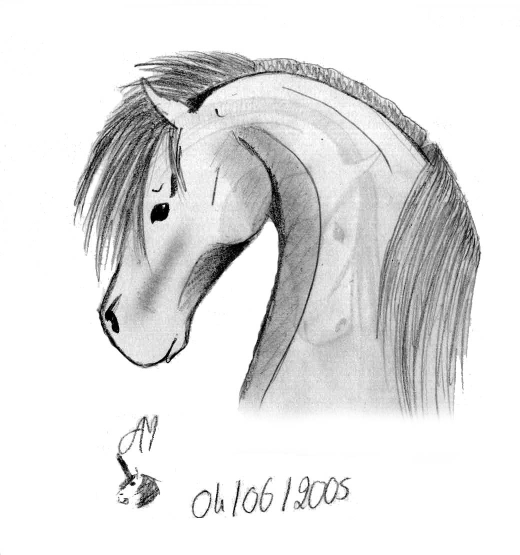 Fonds d'cran Art - Crayon Animaux - Chevaux Sauvage