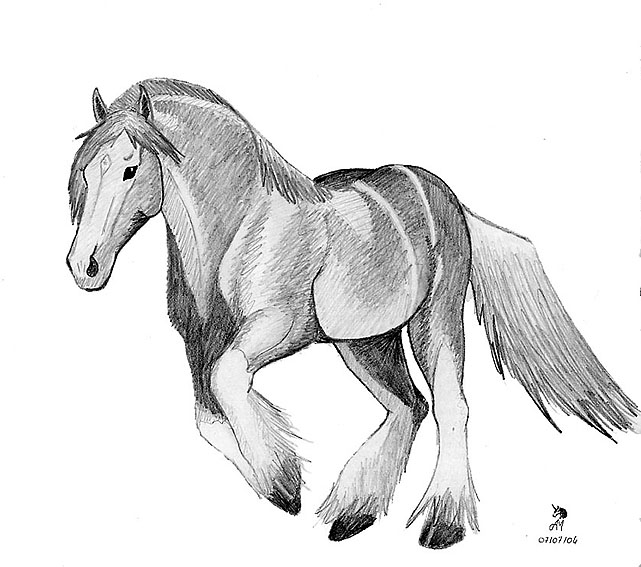 Wallpapers Art - Pencil Animals - Horses Libert