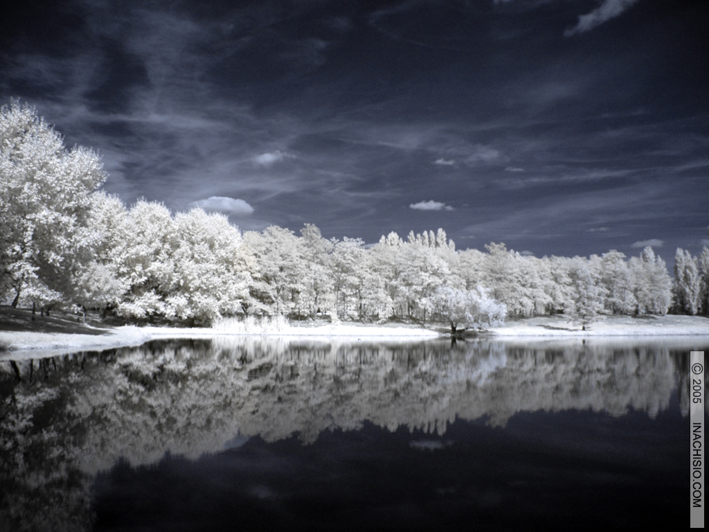 Fonds d'cran Nature Paysages Hivernal