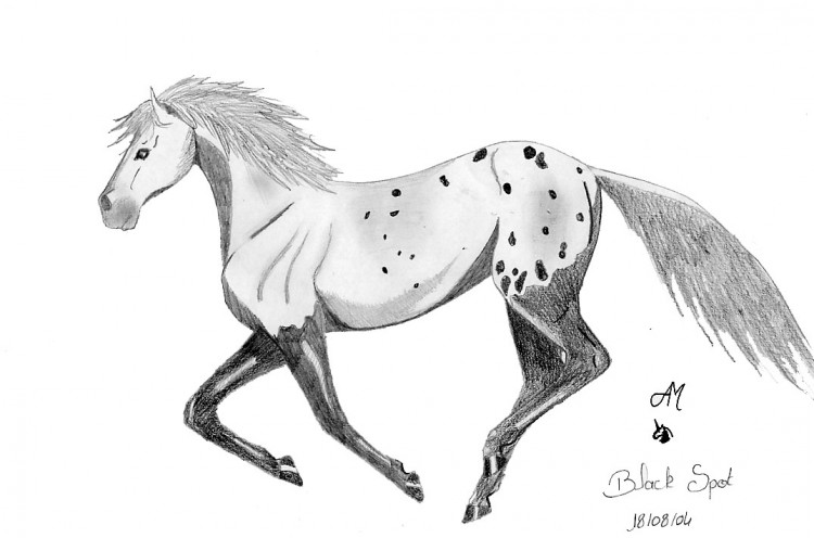 Wallpapers Art - Pencil Animals - Horses Black Spot