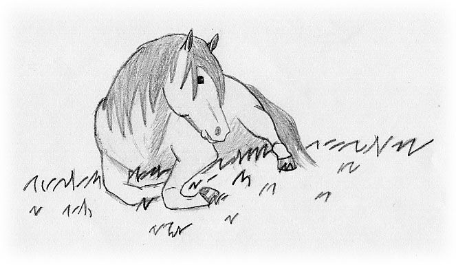 Wallpapers Art - Pencil Animals - Horses Neva