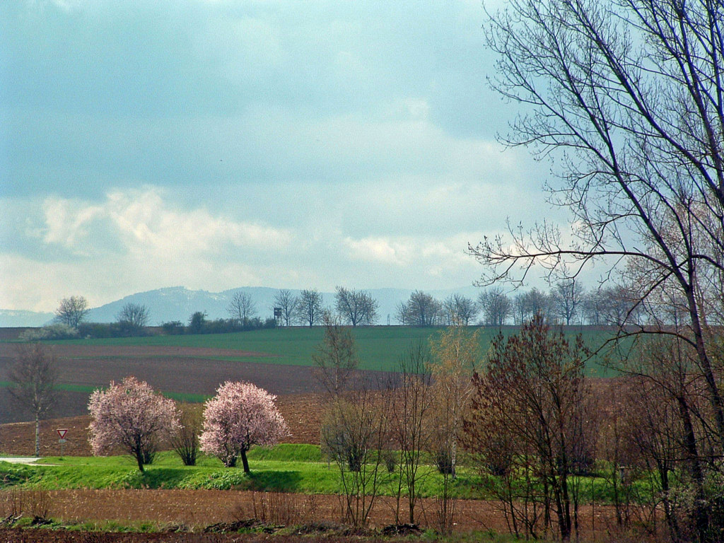 Fonds d'cran Voyages : Europe France > Alsace Une pointe de soleil...