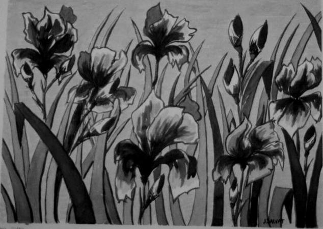 Fonds d'cran Art - Peinture Fleurs Iris au jardin