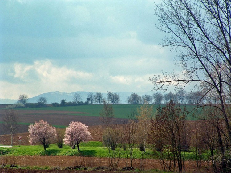 Fonds d'cran Voyages : Europe France > Alsace Une pointe de soleil...